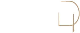 dezign in logo
