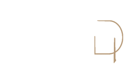 dezign in logo